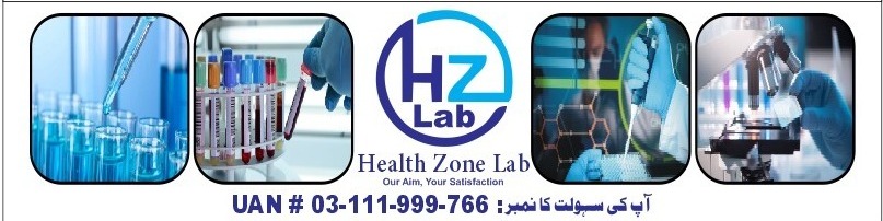Health Zone Lab