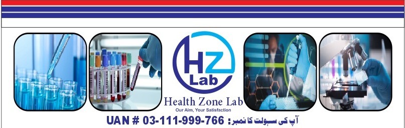 Health Zone Lab